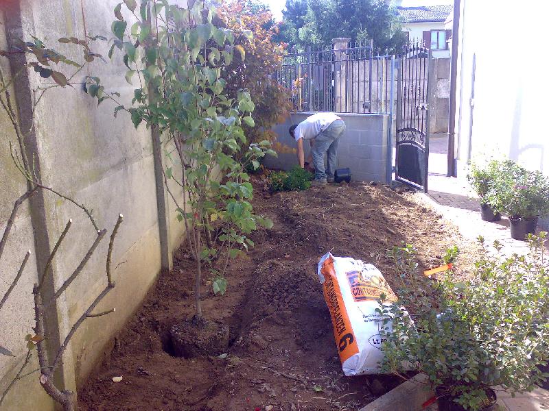 06102008315.jpg
