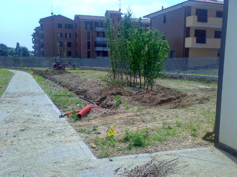 12062008099.jpg