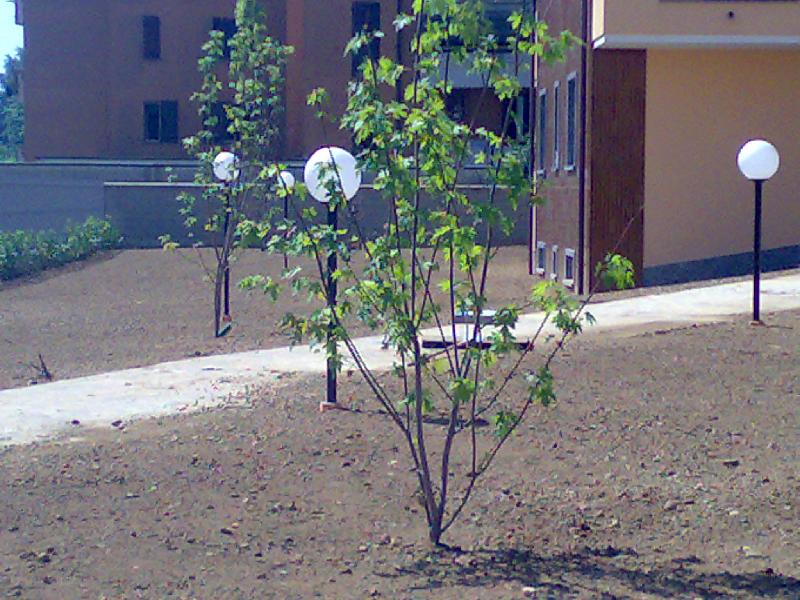 16072008160.jpg