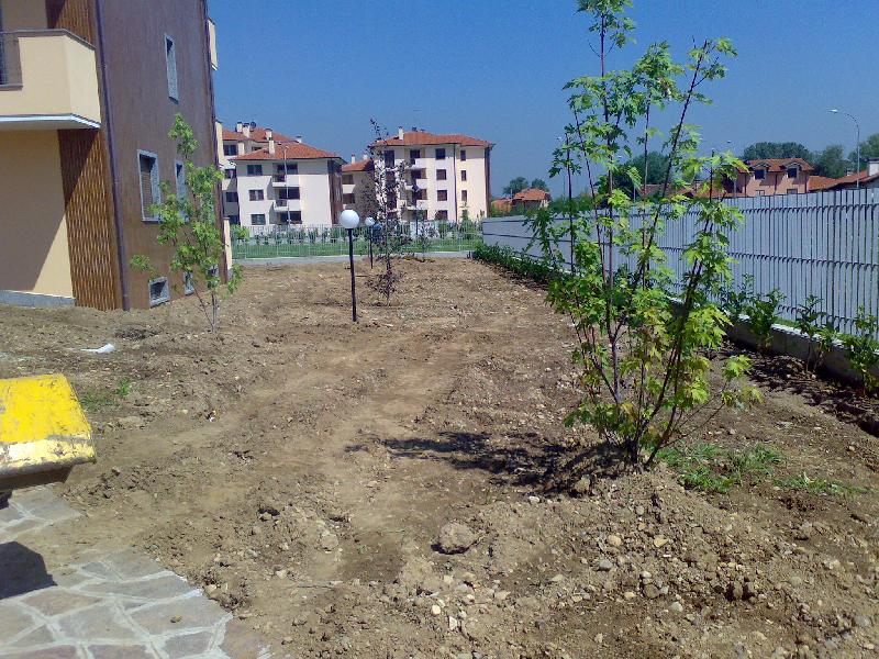 16072008163.jpg