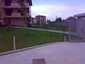 03102008307
