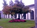 08102008316